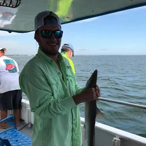 Meet your Posher, Jarrett